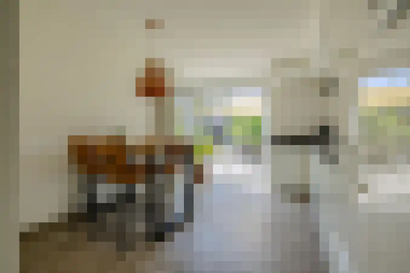 Honswijkpolder 5 De Meern thumbnail 18