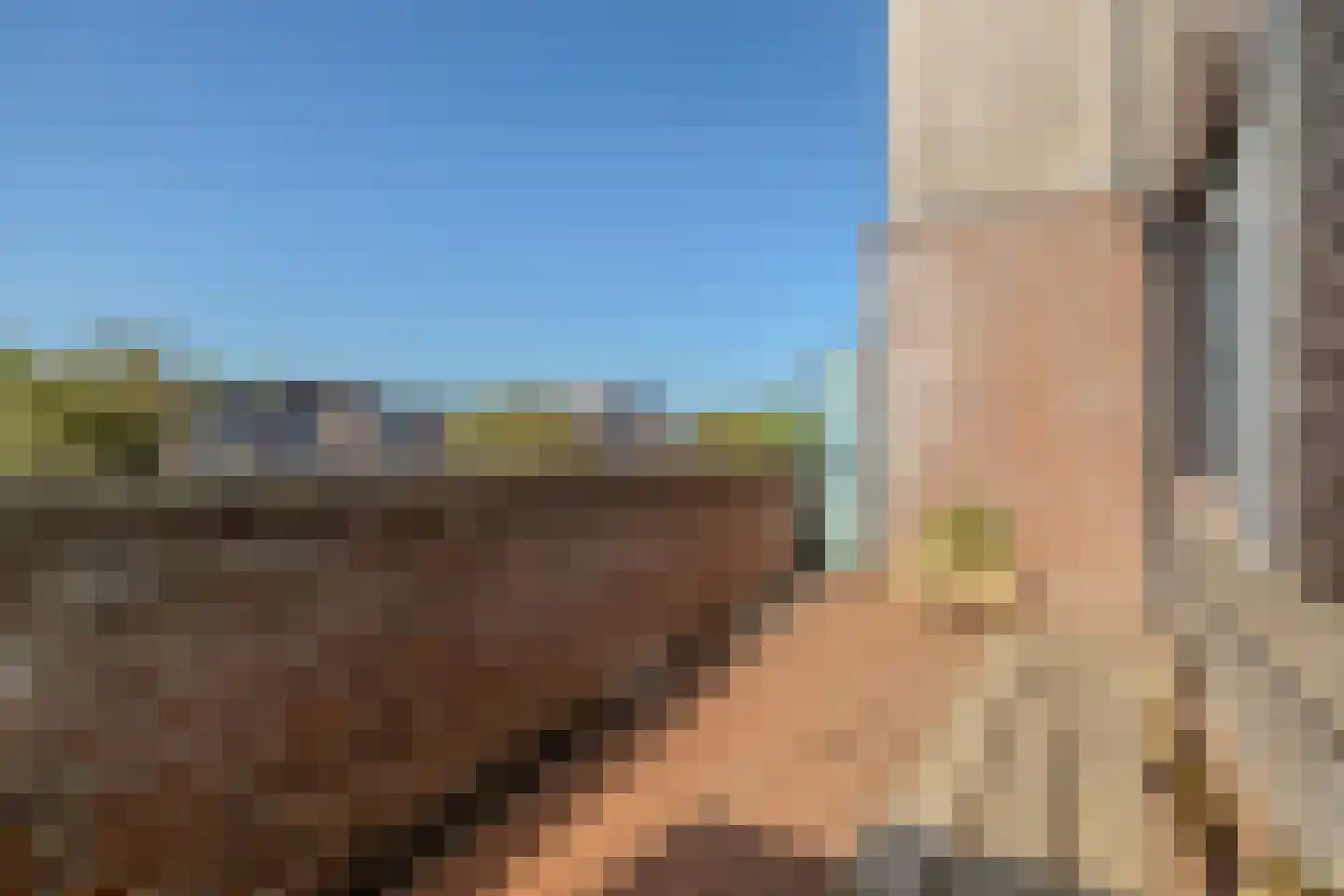 Honswijkpolder 5 De Meern thumbnail 42