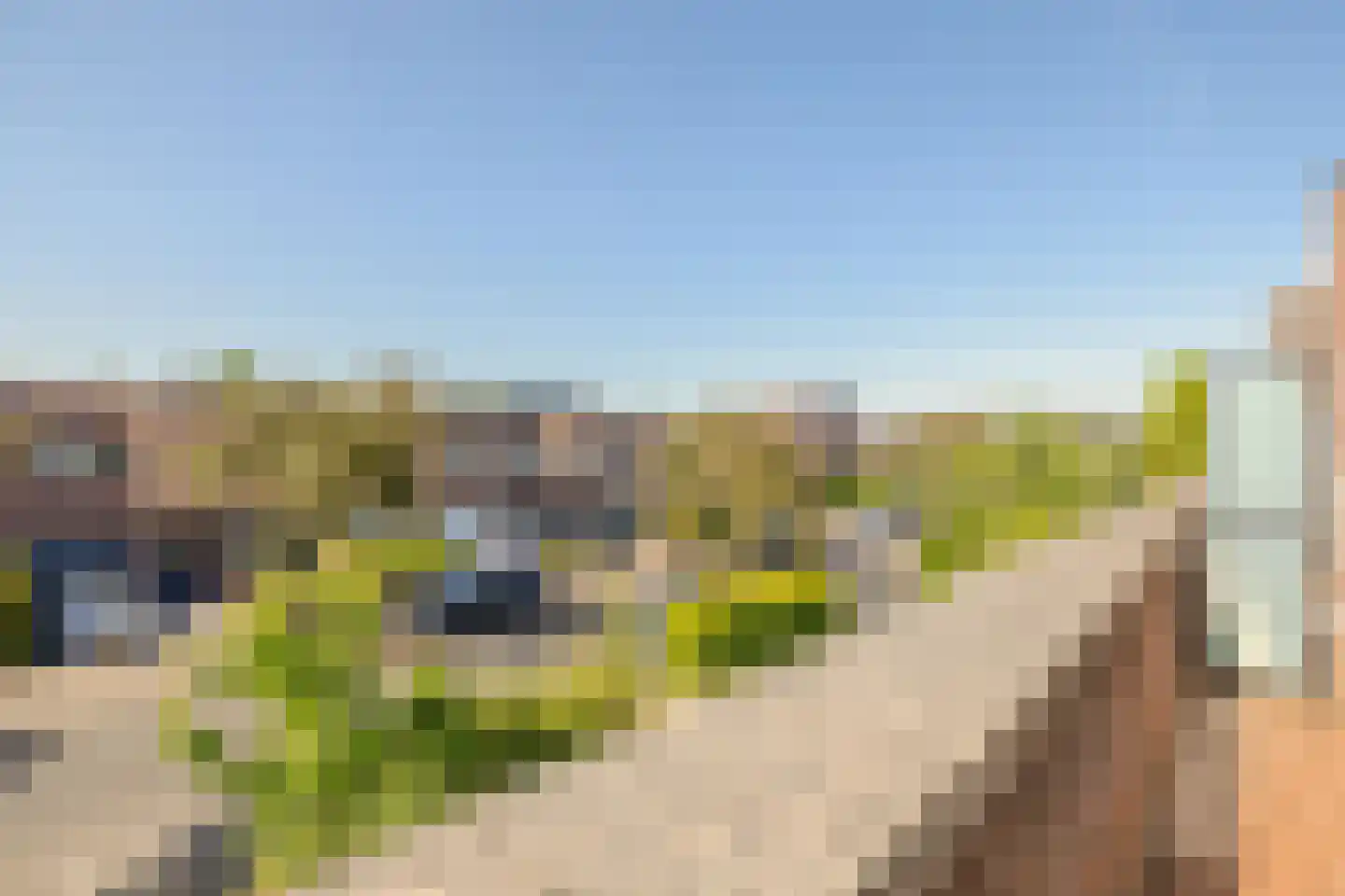 Honswijkpolder 5 De Meern thumbnail 43