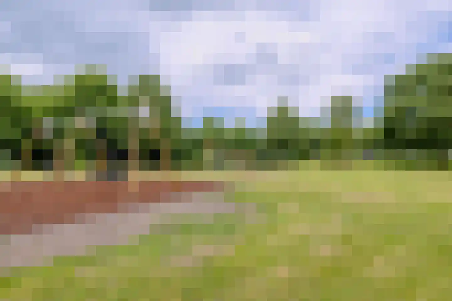 Honswijkpolder 5 De Meern thumbnail 47