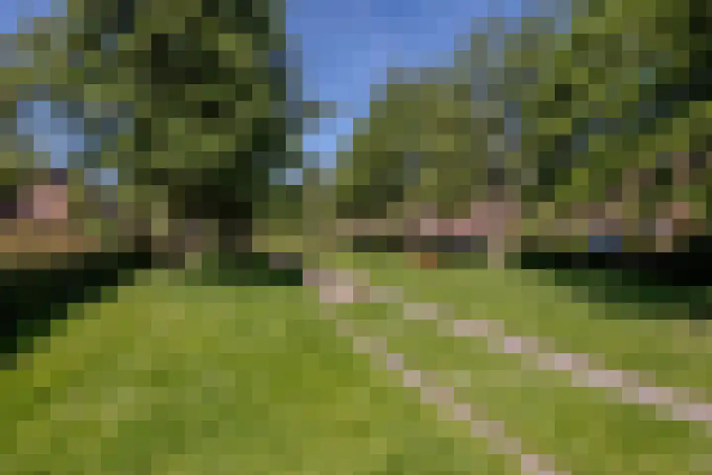 Honswijkpolder 5 De Meern thumbnail 49