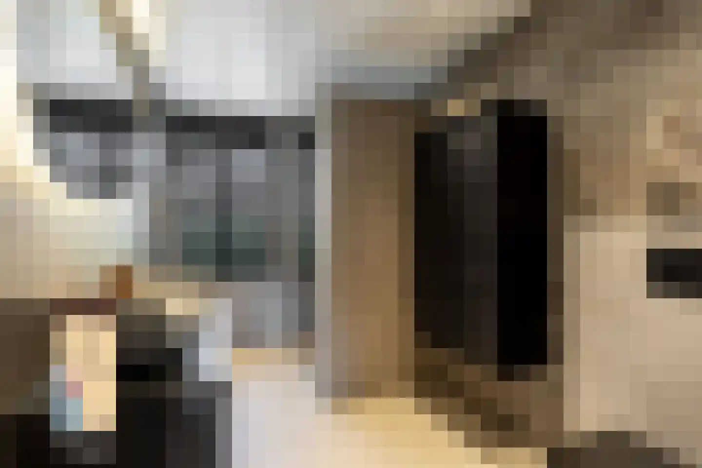 Honte 12 Brielle thumbnail 21