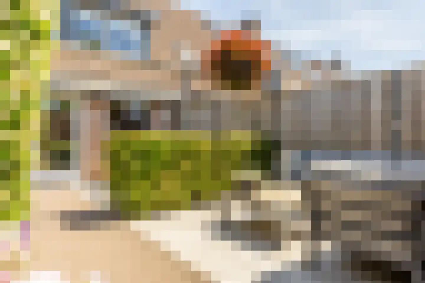 Honte 12 Brielle thumbnail 29