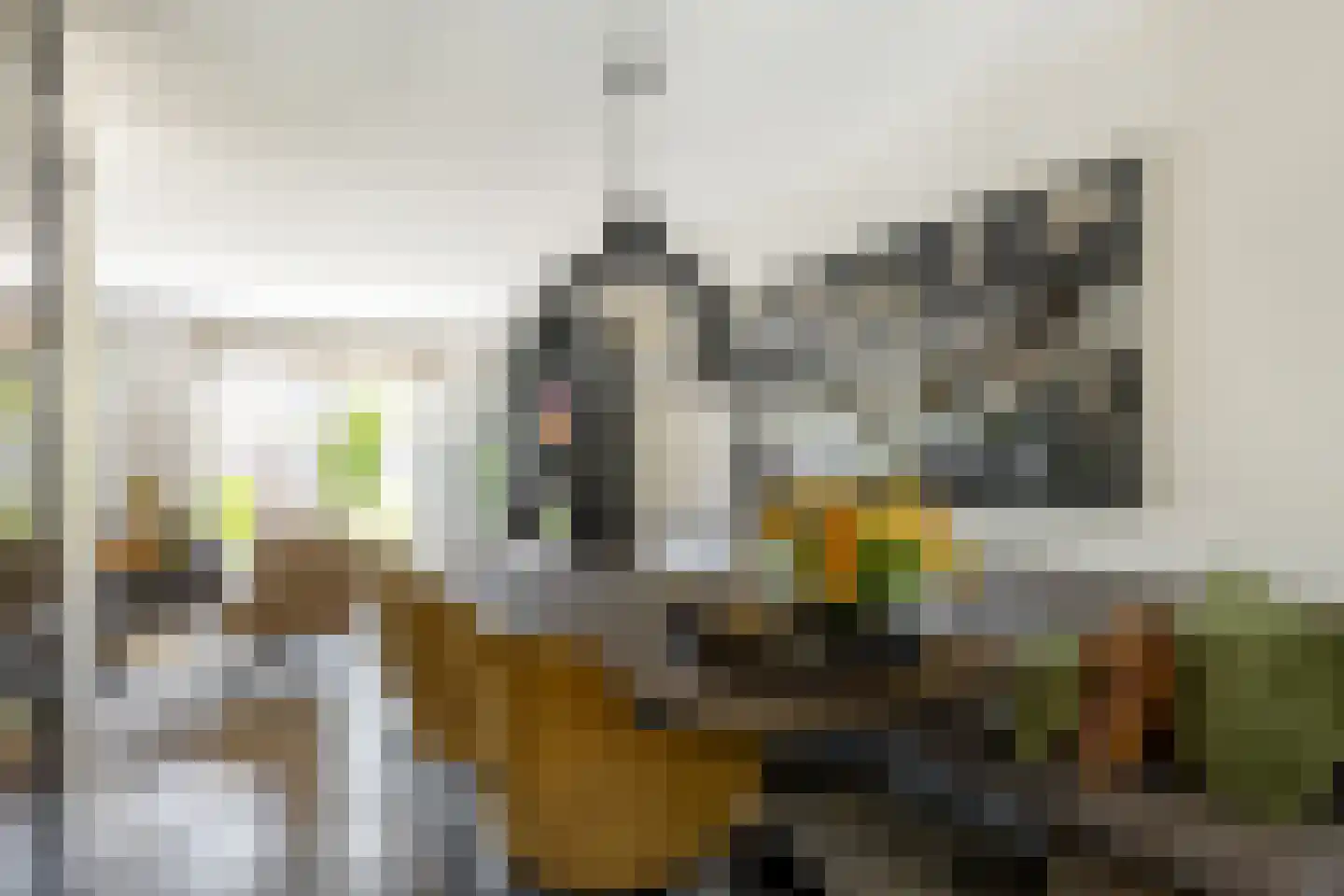 Honte 12 Brielle thumbnail 8