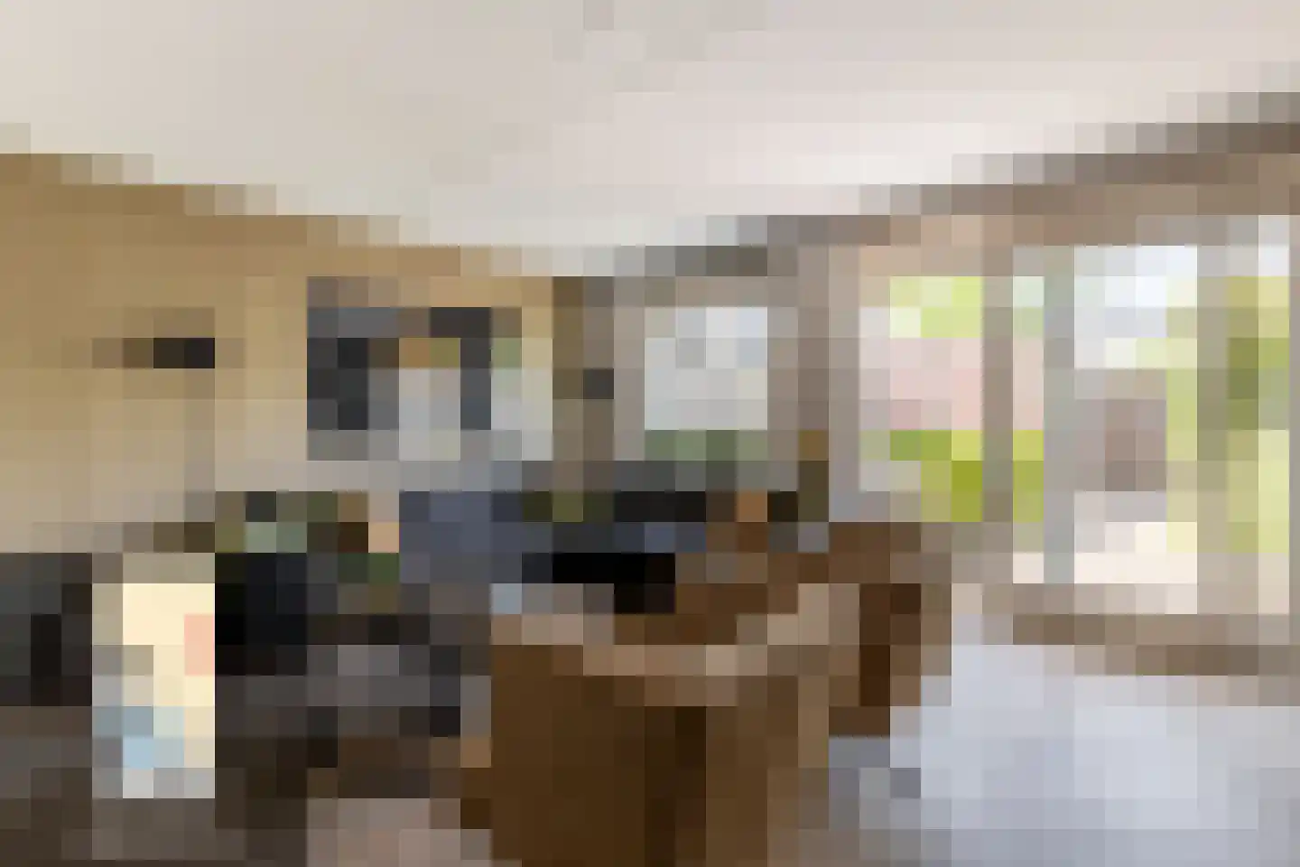 Honte 12 Brielle thumbnail 9