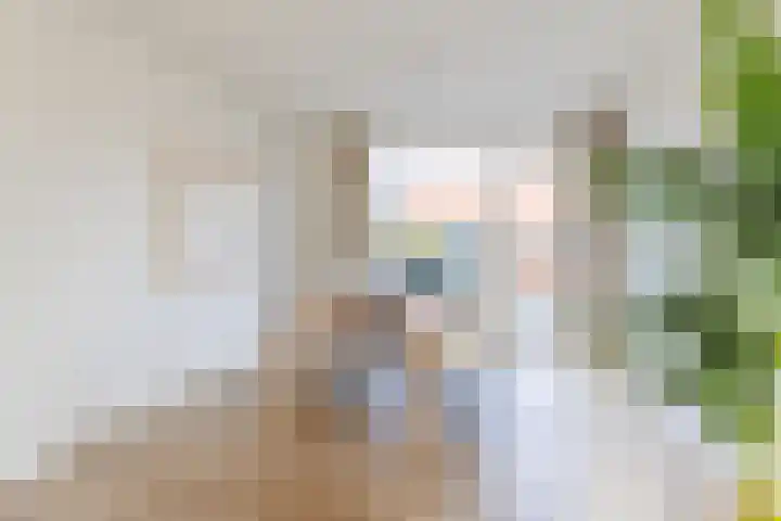 Honte 4 Apeldoorn thumbnail 10