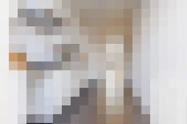 Honte 4 Apeldoorn thumbnail 12