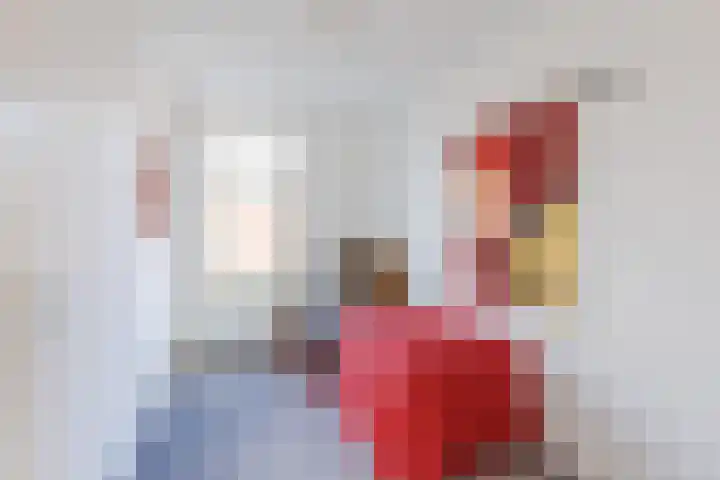 Honte 4 Apeldoorn thumbnail 14
