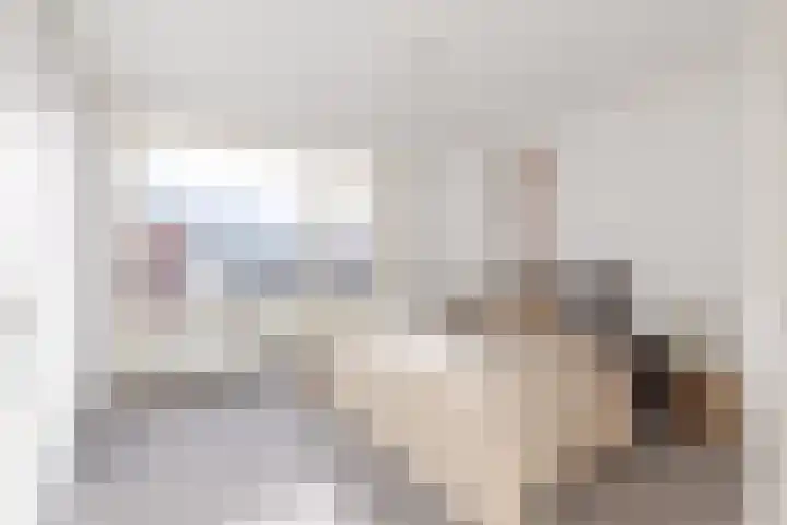 Honte 4 Apeldoorn thumbnail 15
