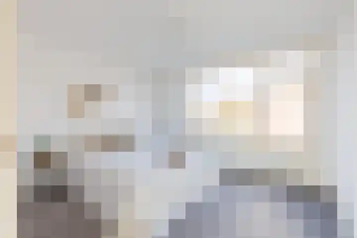 Honte 4 Apeldoorn thumbnail 16