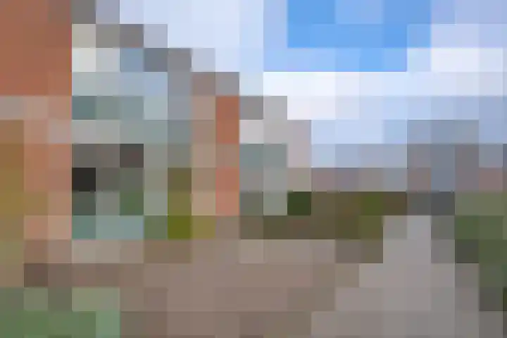 Honte 4 Apeldoorn thumbnail 20
