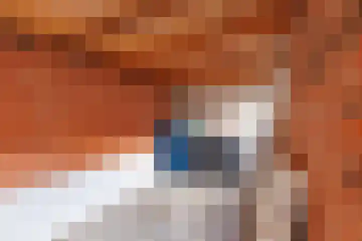 Honte 4 Apeldoorn thumbnail 21