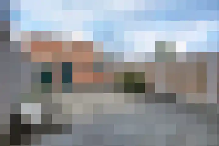 Honte 4 Apeldoorn thumbnail 4