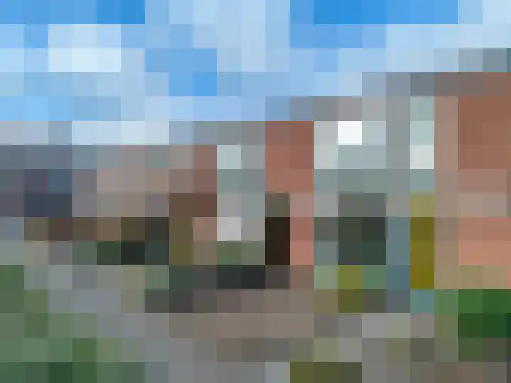 Honte 4 Apeldoorn thumbnail 5
