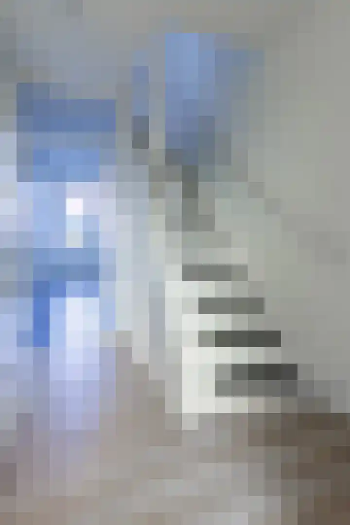 Honte 4 Apeldoorn thumbnail 6