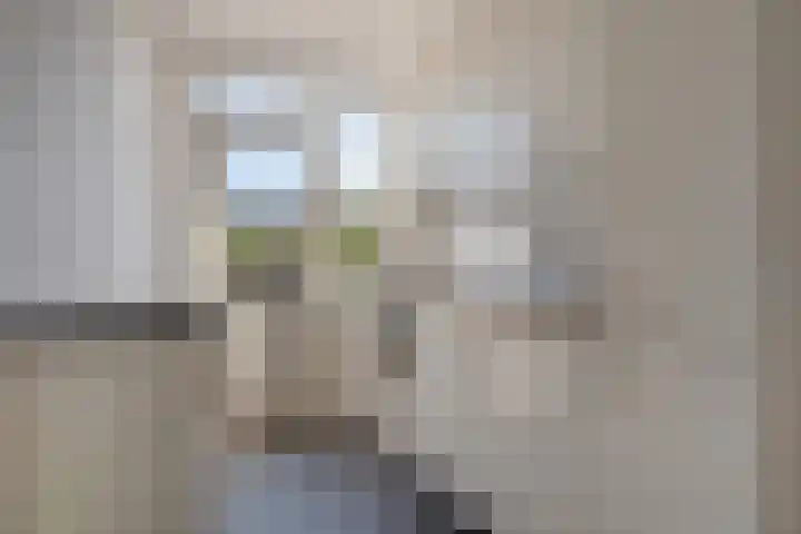 Honte 5 Apeldoorn thumbnail 13