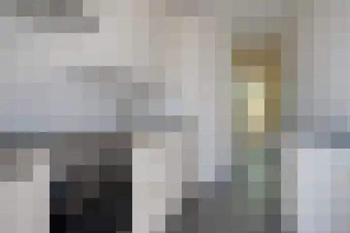 Honte 5 Apeldoorn thumbnail 14