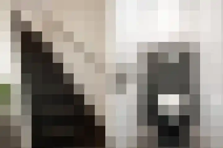 Honte 5 Apeldoorn thumbnail 15