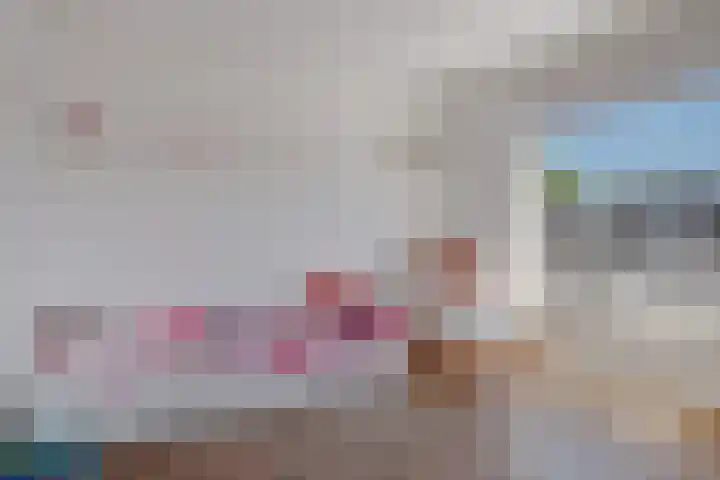 Honte 5 Apeldoorn thumbnail 20