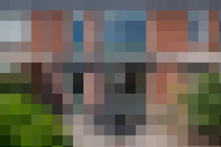 Honte 5 Apeldoorn thumbnail 23