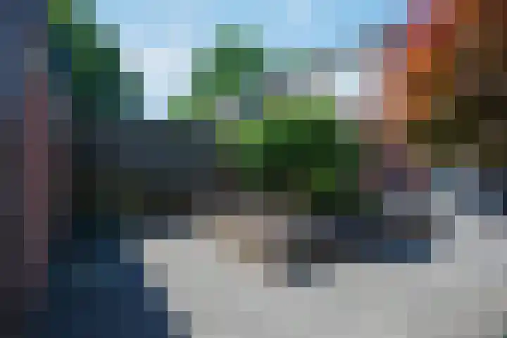 Honte 5 Apeldoorn thumbnail 26