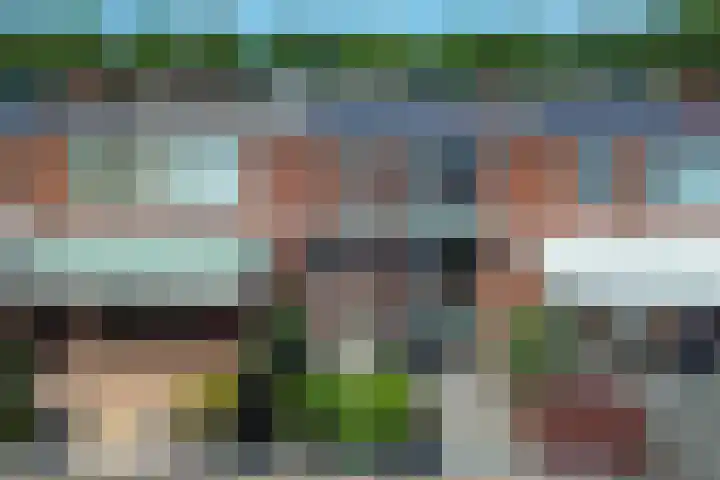 Honte 5 Apeldoorn thumbnail 28