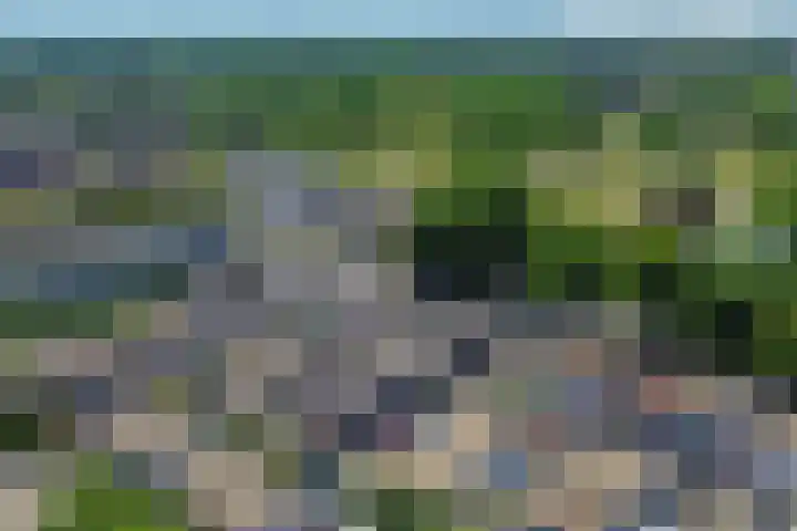 Honte 5 Apeldoorn thumbnail 4