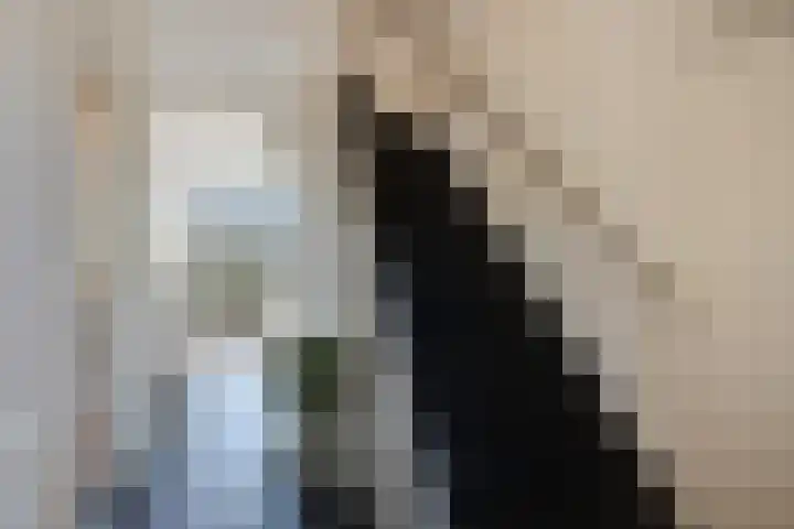 Honte 5 Apeldoorn thumbnail 7