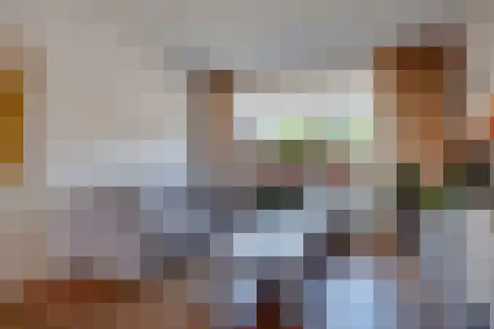 Honte 5 Apeldoorn thumbnail 9
