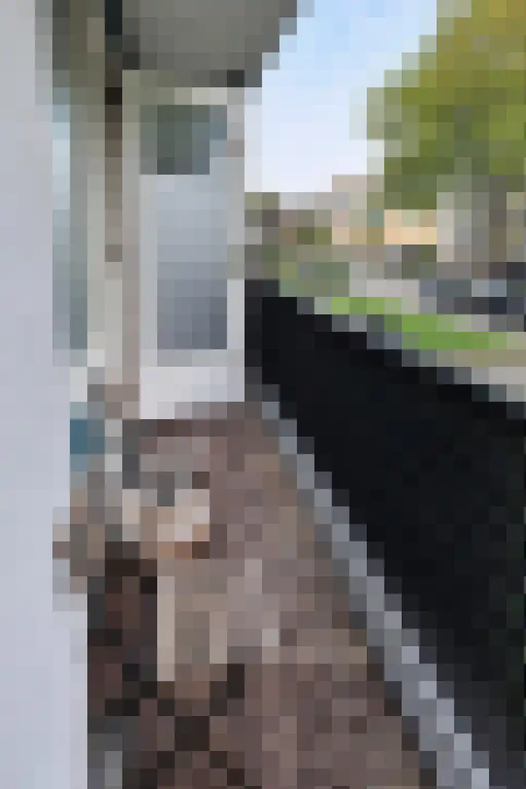 Hontenissestraat 107 Rotterdam thumbnail 11