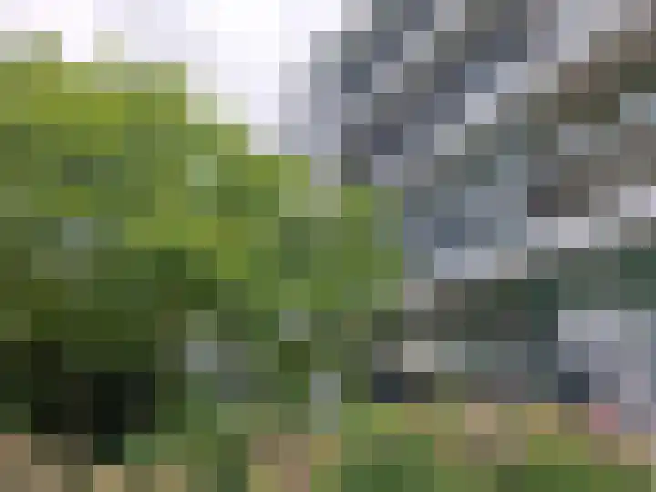 Hontenissestraat 119 Rotterdam thumbnail 7