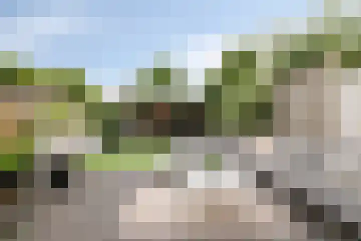 Hontenissestraat 13 Tilburg thumbnail 13