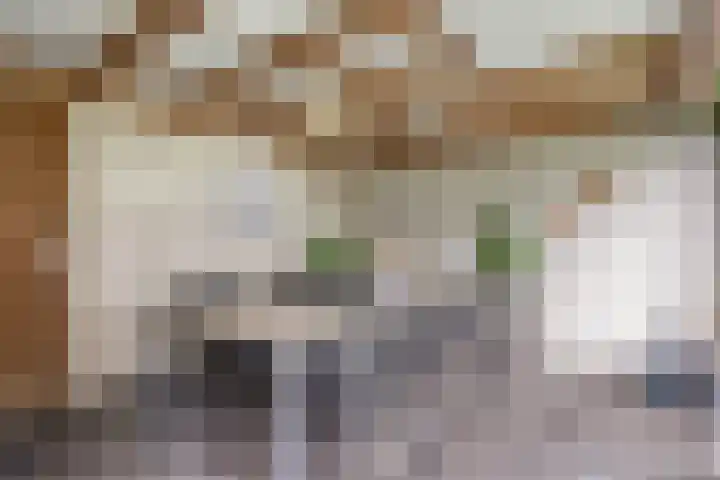 Hontenissestraat 13 Tilburg thumbnail 15