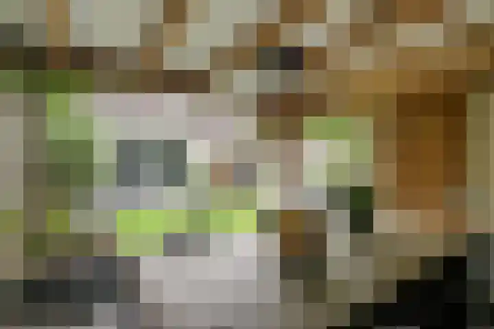 Hontenissestraat 13 Tilburg thumbnail 16