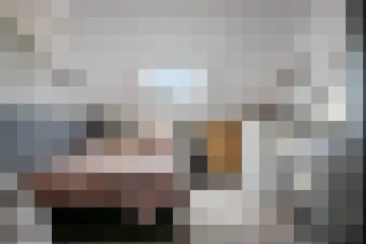 Hontenissestraat 13 Tilburg thumbnail 27