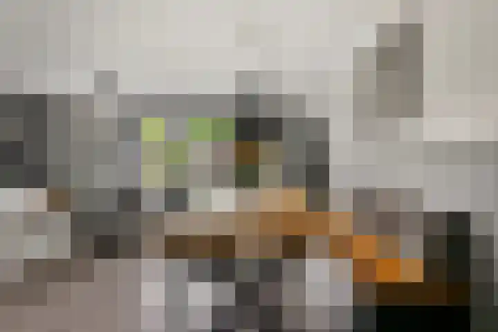 Hontenissestraat 13 Tilburg thumbnail 5