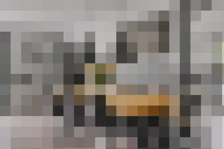 Hontenissestraat 13 Tilburg thumbnail 6