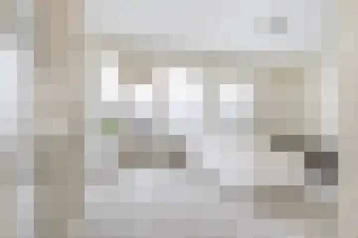 Hontenissestraat 136 Rotterdam thumbnail 13