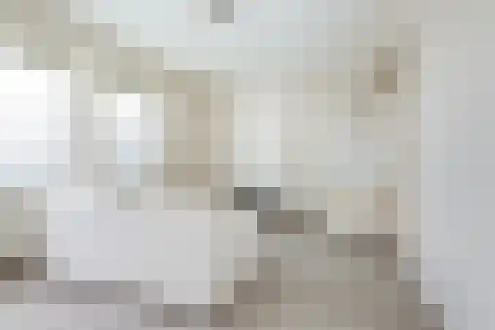 Hontenissestraat 136 Rotterdam thumbnail 15