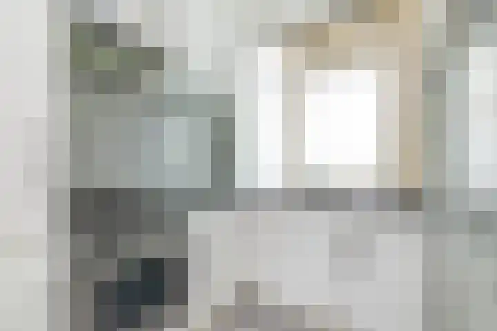 Hontenissestraat 136 Rotterdam thumbnail 18