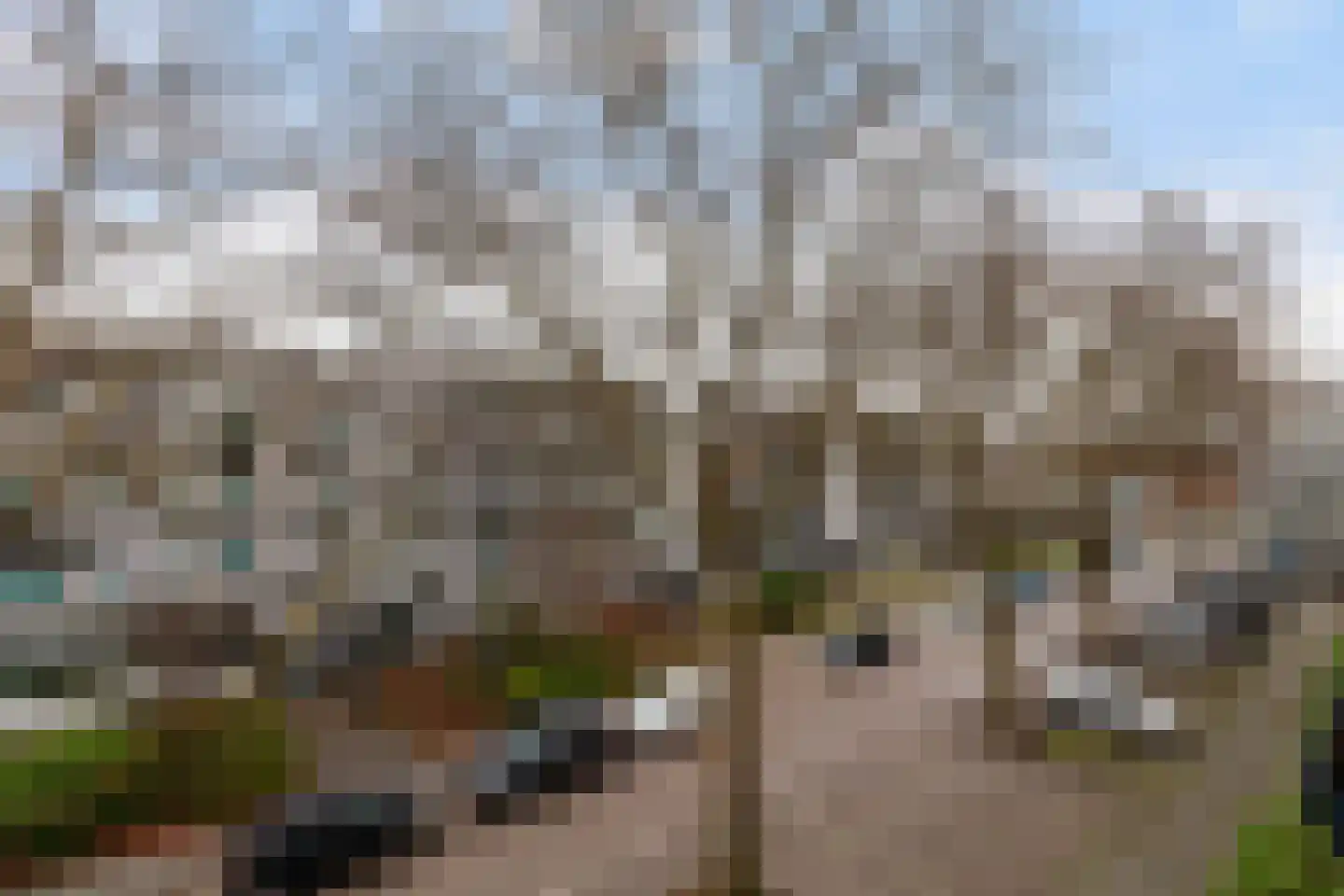 Hontenissestraat 138 Rotterdam thumbnail 5