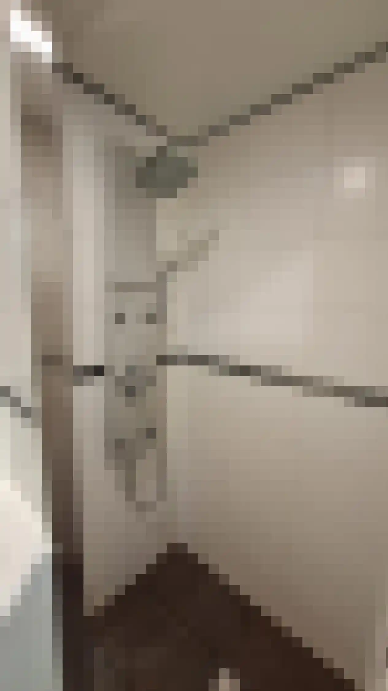 Hontenissestraat 143 Rotterdam thumbnail 10