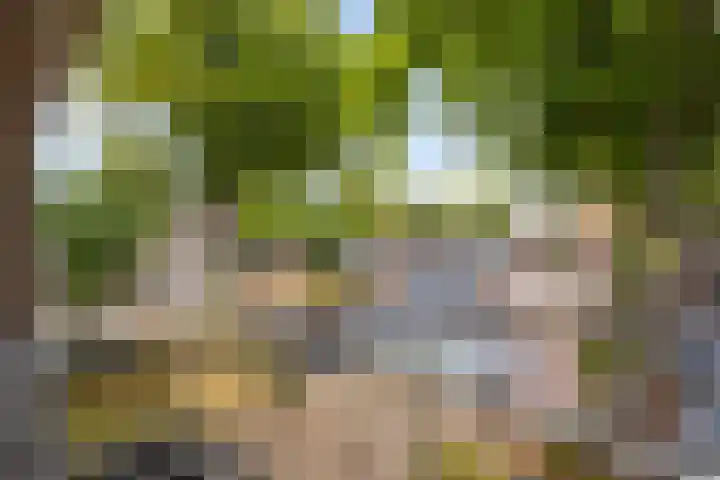 Hontenissestraat 143 Rotterdam thumbnail 13