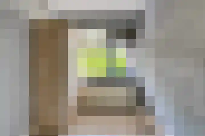 Hontenissestraat 152 Rotterdam thumbnail 17