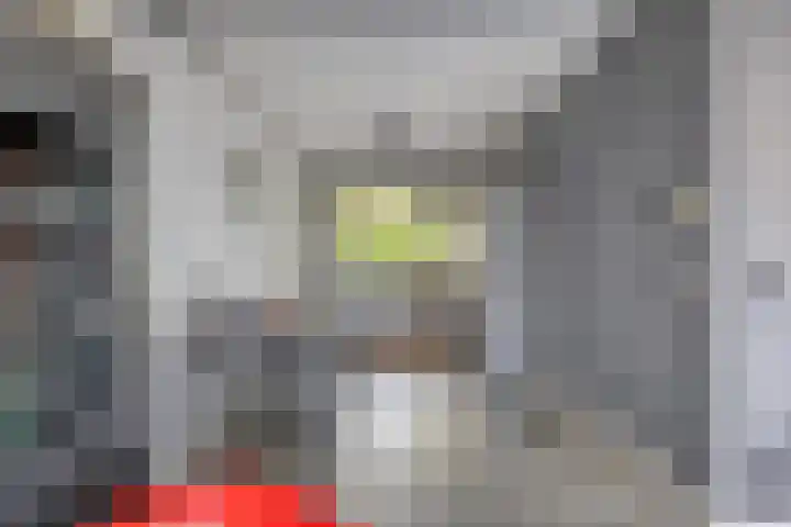 Hontenissestraat 152 Rotterdam thumbnail 8