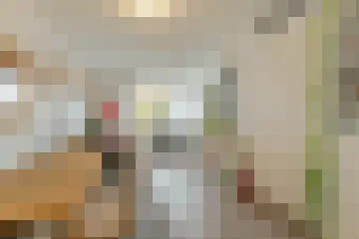Hontenissestraat 30 Rotterdam thumbnail 10
