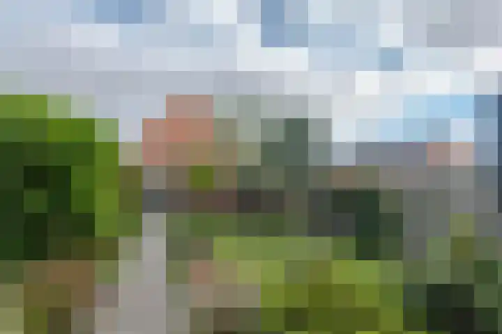 Hontenissestraat 30 Rotterdam thumbnail 13