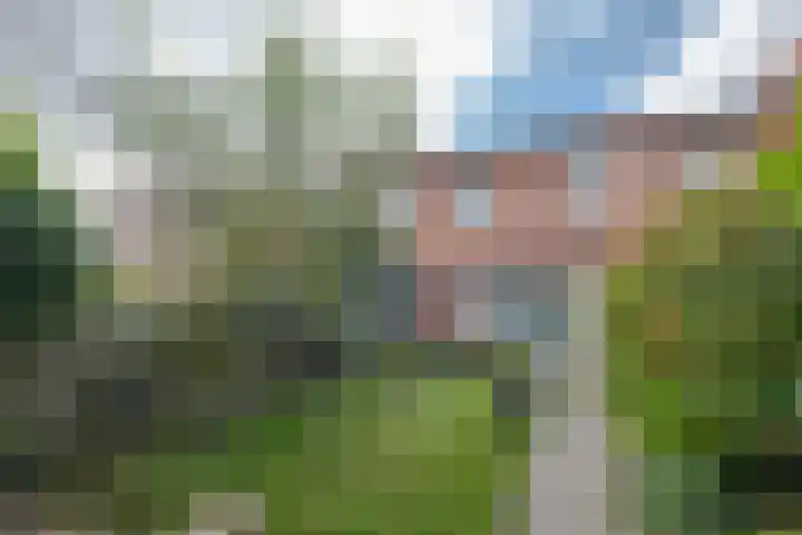 Hontenissestraat 30 Rotterdam thumbnail 4