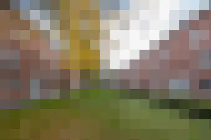 Hontenissestraat 30 Rotterdam thumbnail 6