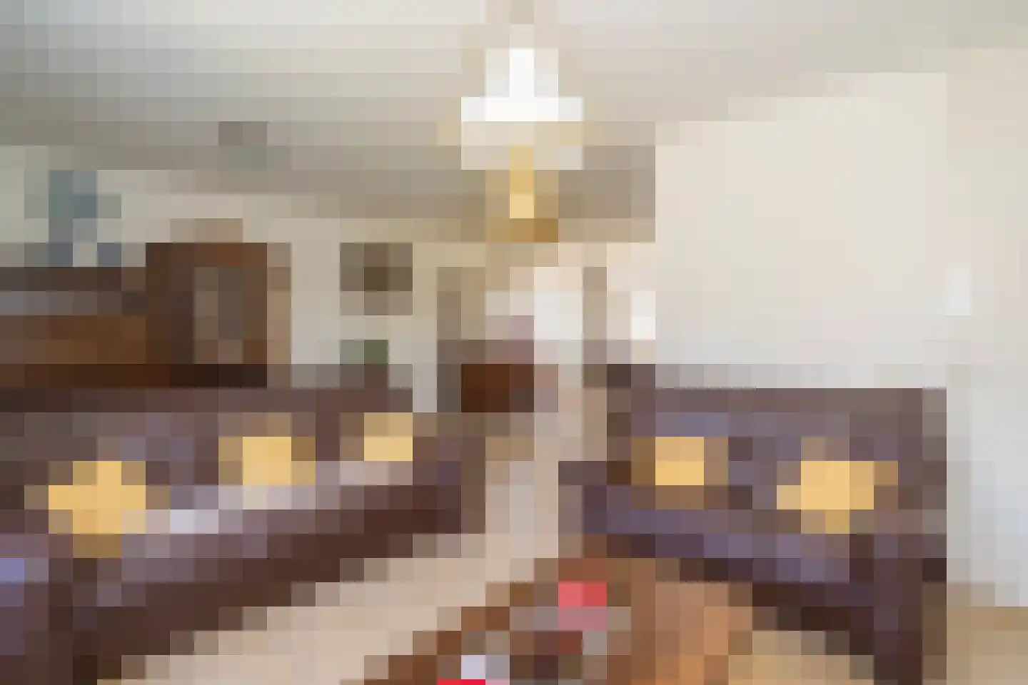 Hontenissestraat 46 Tilburg thumbnail 16